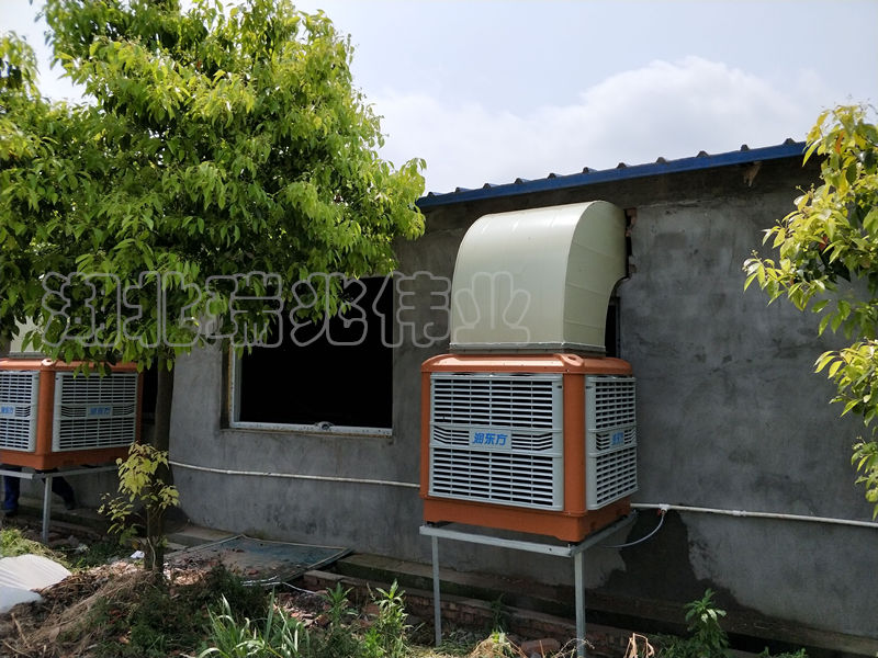 安裝湖北瑞兆冷風(fēng)機(jī)，讓你的員工每天下班不愿回家！