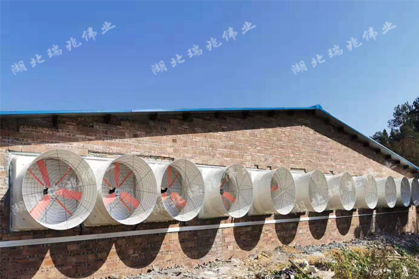 降溫濕簾與負壓風機結(jié)合，助力豬場通風降溫