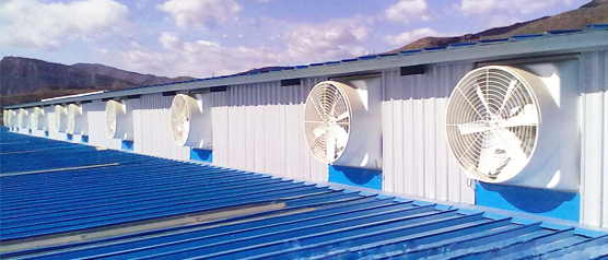 負壓風機如何進行通風降溫？