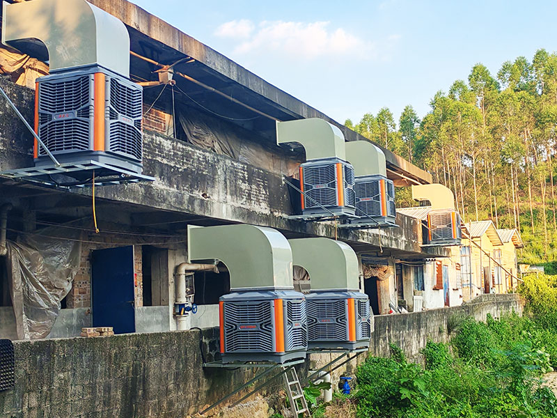 為什么養(yǎng)豬必須重視豬場豬舍環(huán)境?