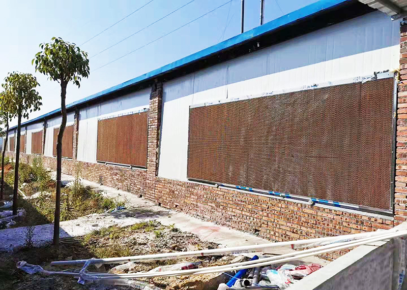 負壓風機+水簾組合 養(yǎng)豬場通風降溫妙招