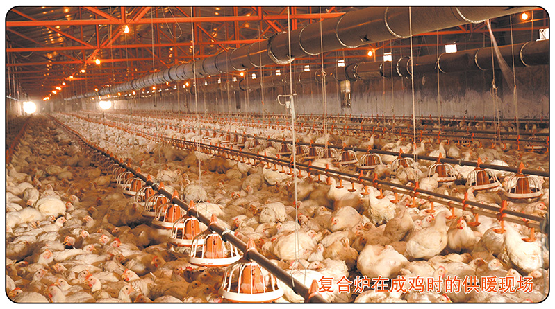 畜禽舍冬季供暖熱風爐 全自動控制 使用簡單