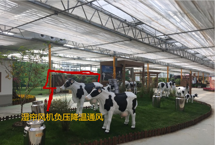 偉森負壓風機、濕簾風機